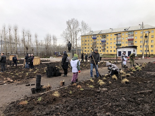 ВОЛОНТЕРЫ ВЫСАДИЛИ ЦВЕТЫ НА КЛУМБАХ У ДК «РЕЧНИКИ»