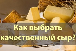 О рекомендациях, как выбрать сыр