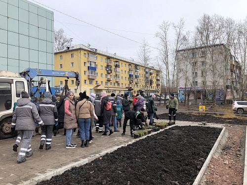 ВОЛОНТЕРЫ ВЫСАДИЛИ ЦВЕТЫ НА КЛУМБАХ У ДК «РЕЧНИКИ»