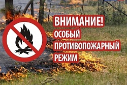 Об установлении на территории Иркутской области особого противопожарного режима