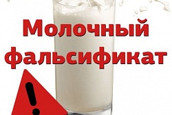 О нахождении в обороте фальсифицированной молочной продукции