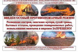 В Иркутской области сохраняется пожароопасная обстановка, в муниципалитетах введены серьёзные ограничения