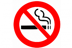 О негативном воздействии курения на организм человека