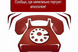 О проведении «горячей линии» по вопросам соблюдения требований законодательства к розничной продаже алкогольной продукции